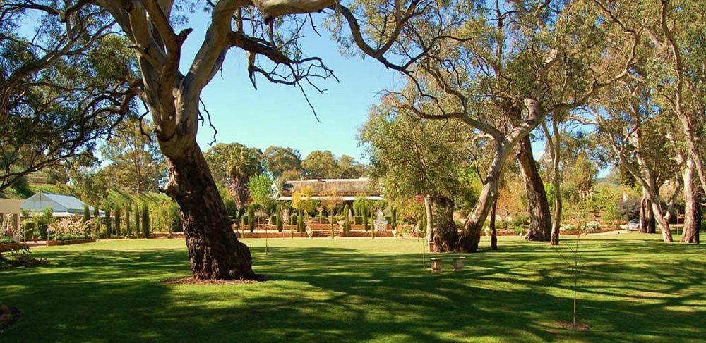 Jacobs Creek Retreat - Barossa Valley Tanunda Exterior photo